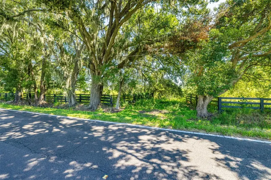 13410 Walden Sheffield Road, Dover, FL 33527 - #2