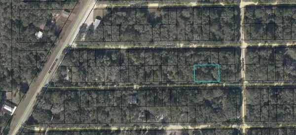 NE 472nd Avenue, OLD TOWN, FL 32680