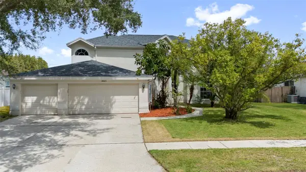 18425 Bittern Avenue, LUTZ, FL 33558