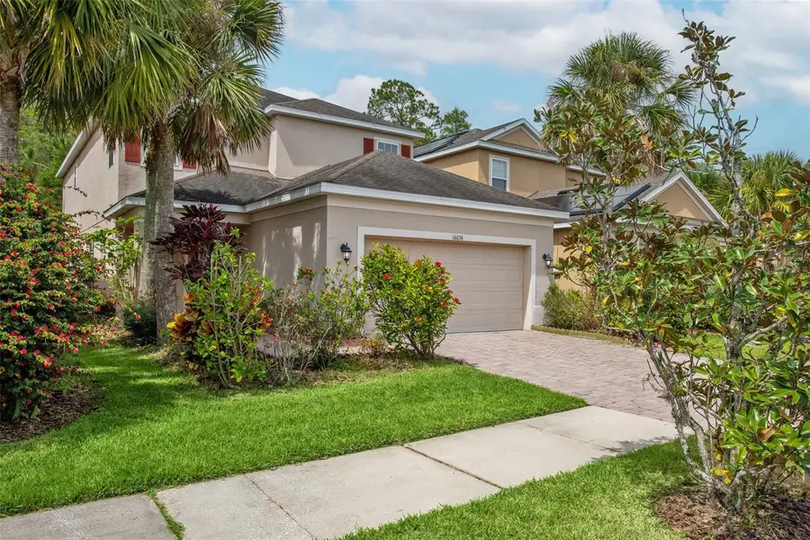 16036 Bella Woods Drive, Tampa, FL 33647 - Image #2