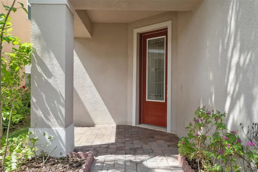 16036 Bella Woods Drive, Tampa, FL 33647 - Image #3