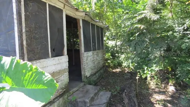 37236 Rose Avenue, Dade City, FL 33523 - Image #2