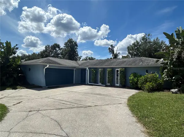 4727 Steel Dust Lane, LUTZ, FL 33559