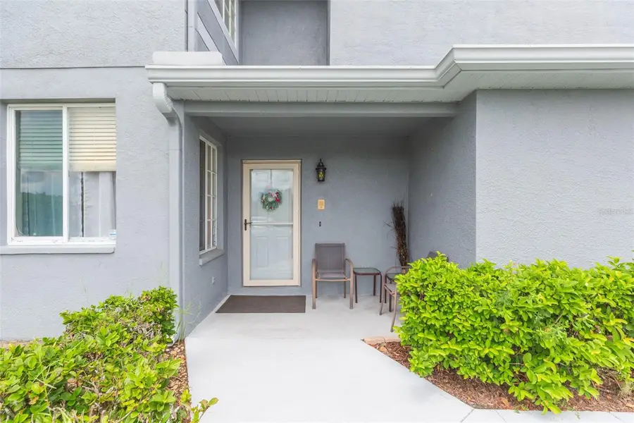 18102 Nassau Point Drive, Tampa, FL 33647 - Image #3