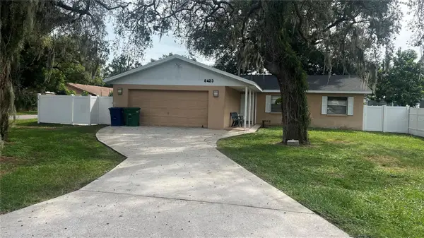 8423 N Otis Avenue, TAMPA, FL 33604