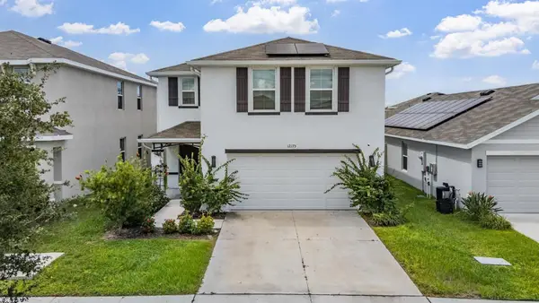 12175 Water Ash Place, RIVERVIEW, FL 33579