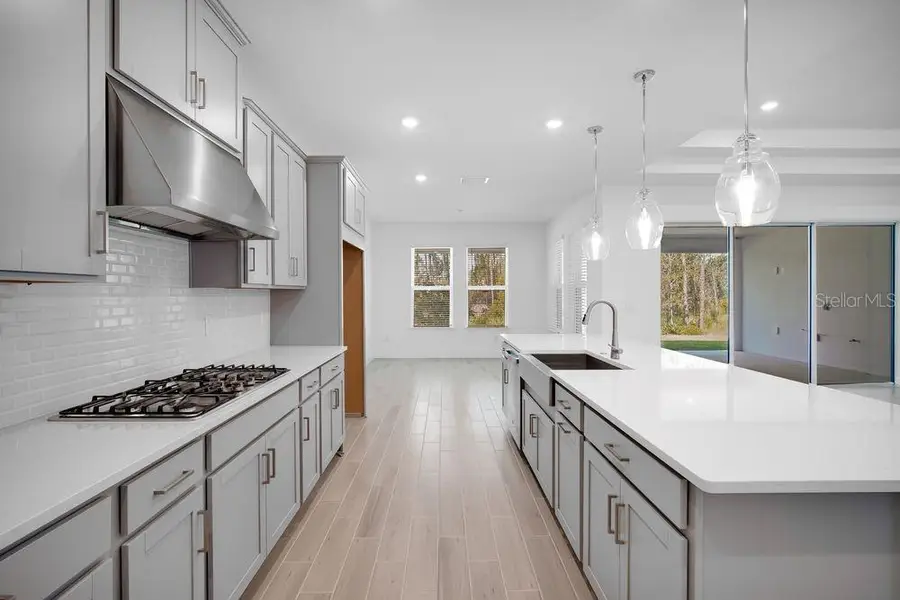 1685 Trailhead Lane, Zephyrhills, FL 33541 - Image #2