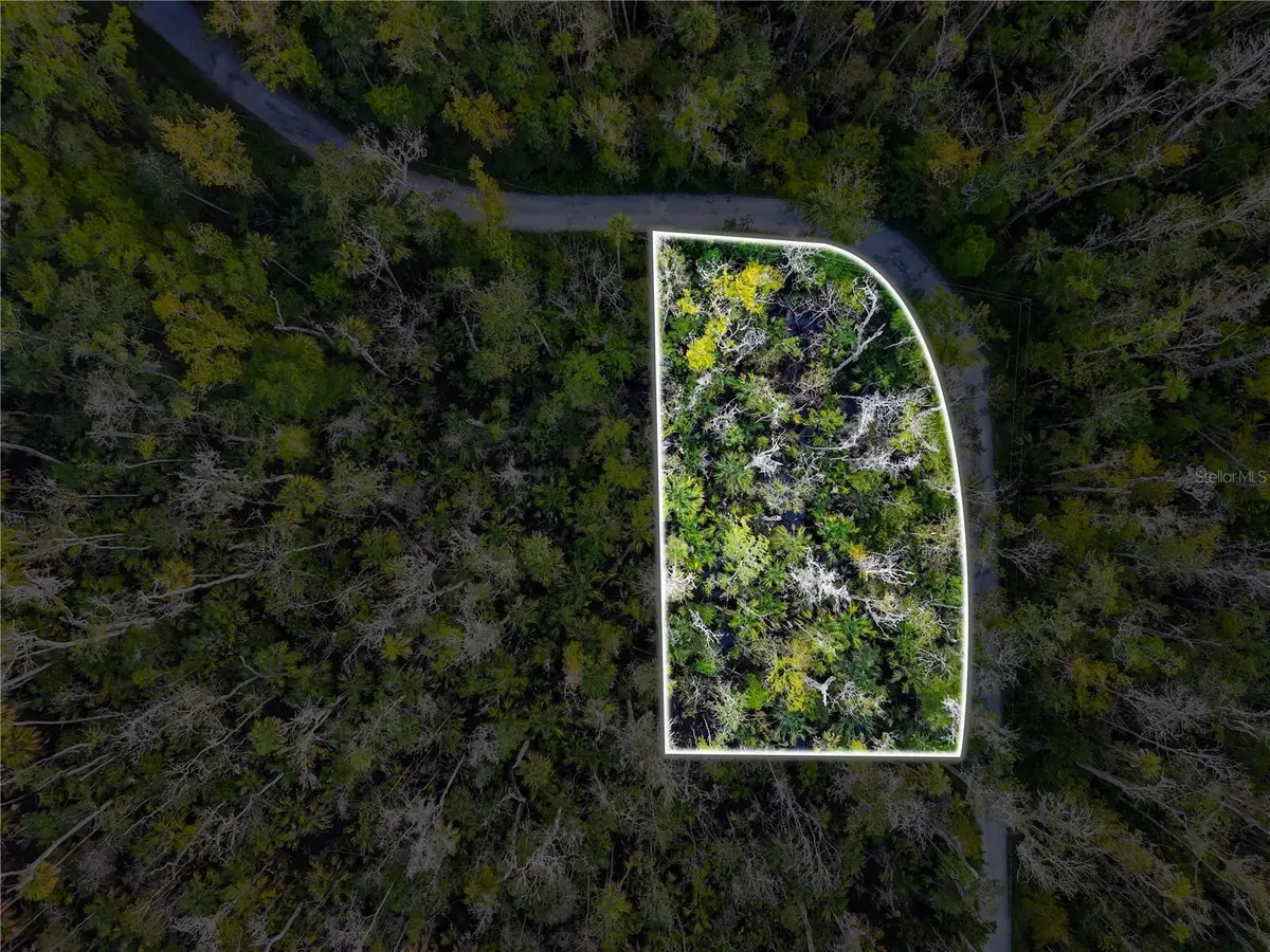 4441 S Lewoods Drive, Homosassa, FL 34448 - Image #1