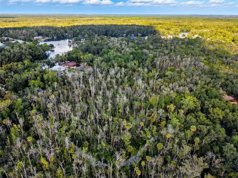 4441 S Lewoods Drive, Homosassa, FL 34448 - Image #2