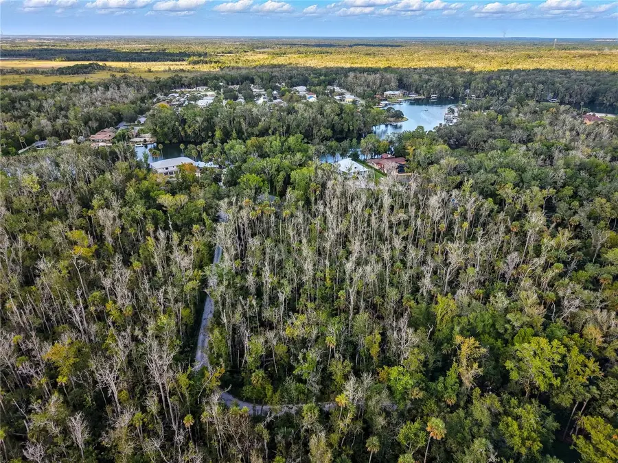 4441 S Lewoods Drive, Homosassa, FL 34448 - Image #3