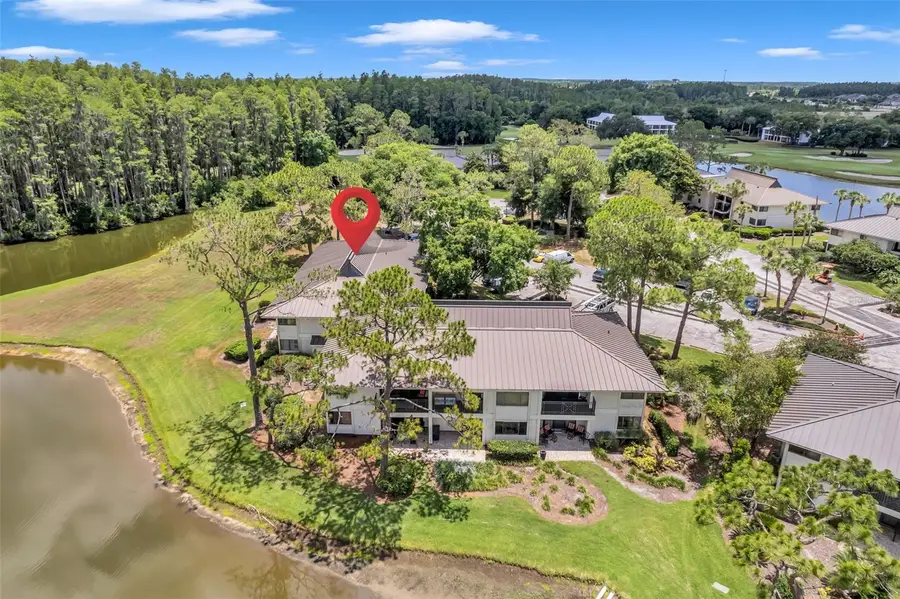 29147 Bay Hollow Drive #3224, Wesley Chapel, FL 33543 - Image #3