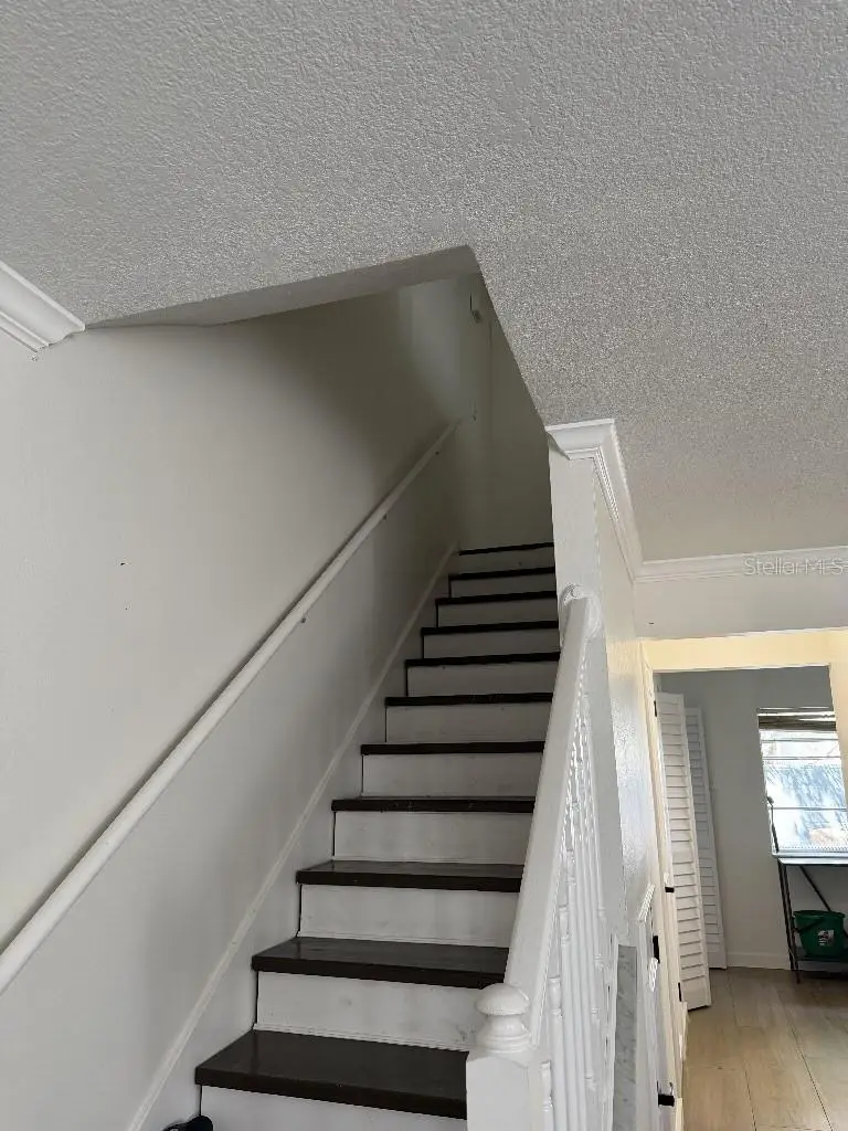 218 S Tampania Avenue, Tampa, FL 33609 - Image #3