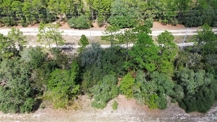 3341 W Wilhelm Street, Citrus Springs, FL 34433 - #2