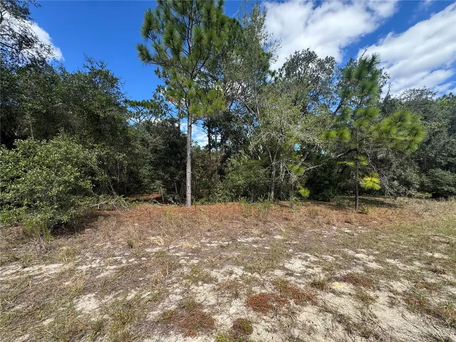 3341 W Wilhelm Street, Citrus Springs, FL 34433 - #3