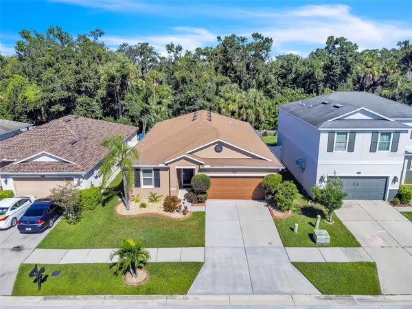 7518 Tangle Brook Boulevard, GIBSONTON, FL 33534