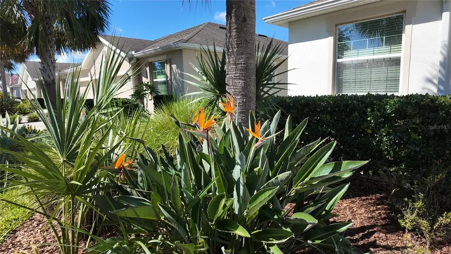 7690 Timberview Loop, Wesley Chapel, FL 33545 - #3