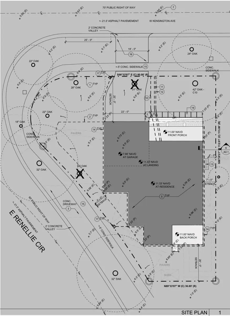 3602 E Renellie Circle, Tampa, FL 33629 - Image #2