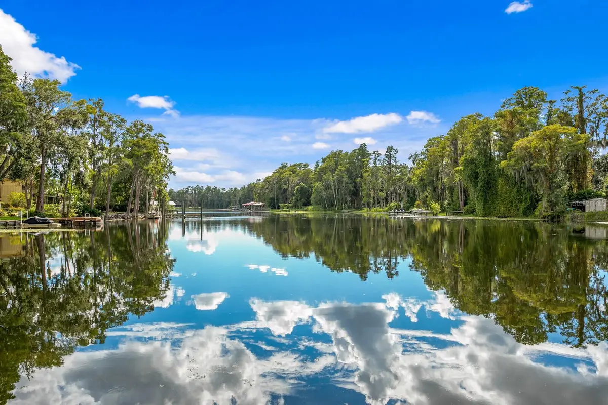 19116 Forrest Drive, Odessa, FL 33556 - Image #1