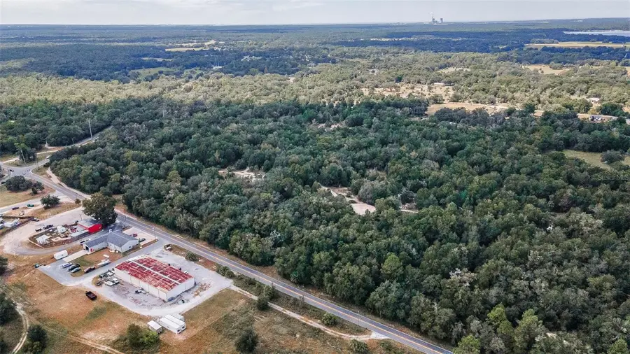 8144 W Alvany Court, Crystal River, FL 34428 - Image #3