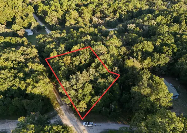 NE 2nd Place, WILLISTON, FL 32696