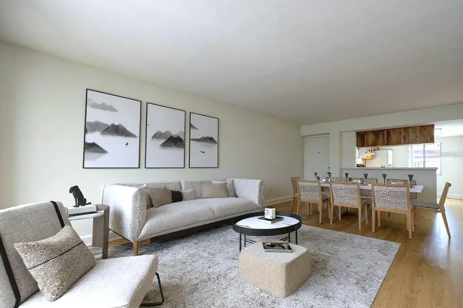 115 Palmetto Court #115, Oldsmar, FL 34677 - Image #2