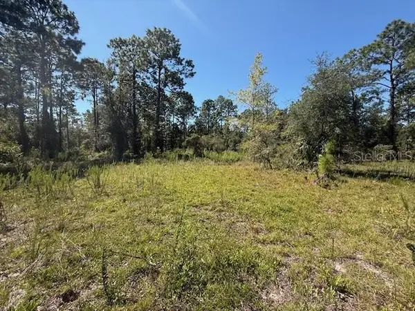 Se 114th Pl, DUNNELLON, FL 34431