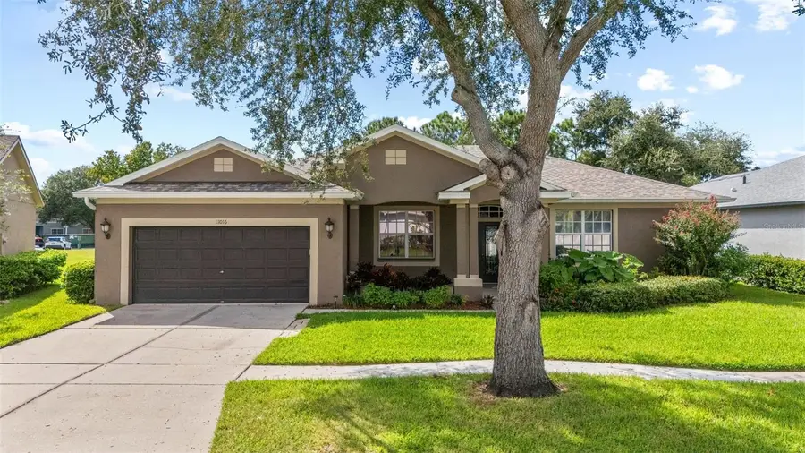 11016 Stone Branch Drive, Riverview, FL 33569 - Image #2