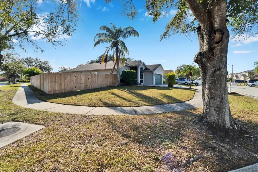 11225 Scotchwood Drive, Riverview, FL 33579 - Image #3