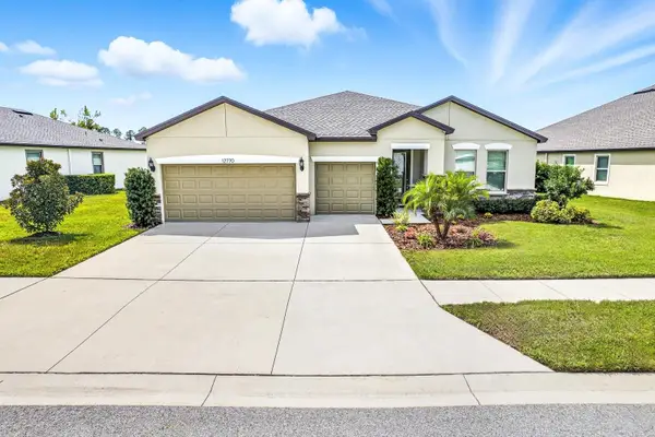 12770 Palapa Loop, SPRING HILL, FL 34610