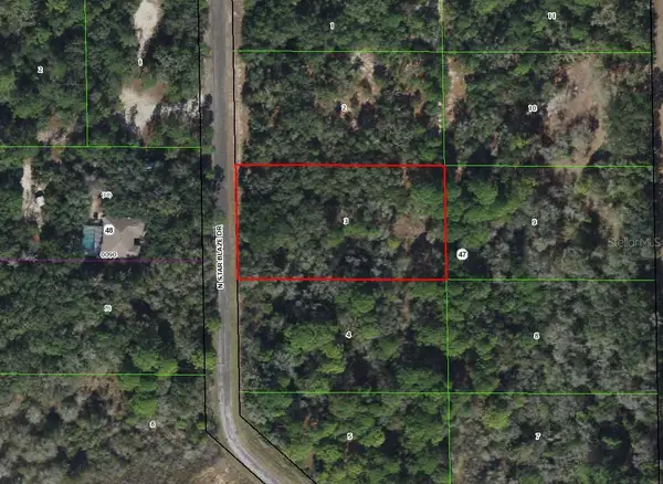 8473 N Star Blaze Drive, CRYSTAL RIVER, FL 34428