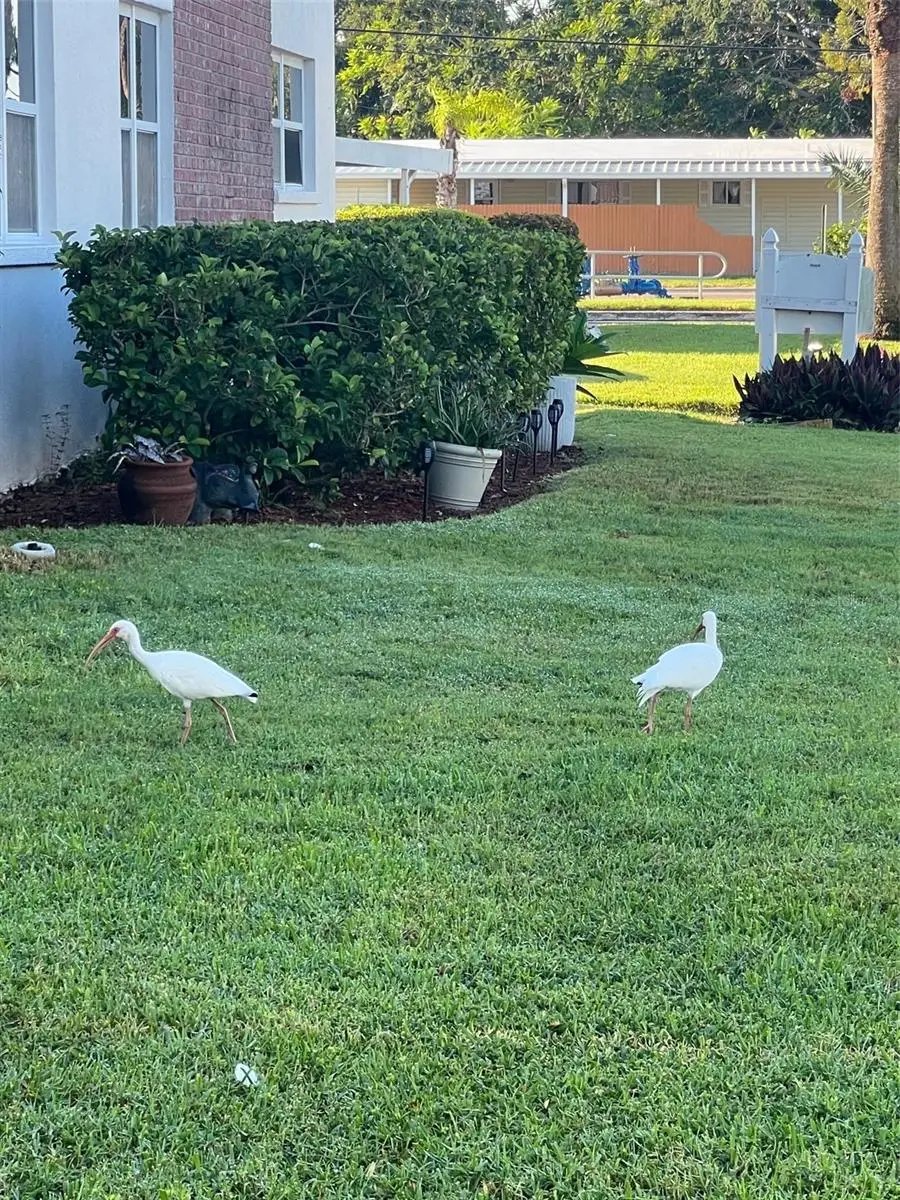 7941 58th Avenue N #106, Saint Petersburg, FL 33709 - Image #3