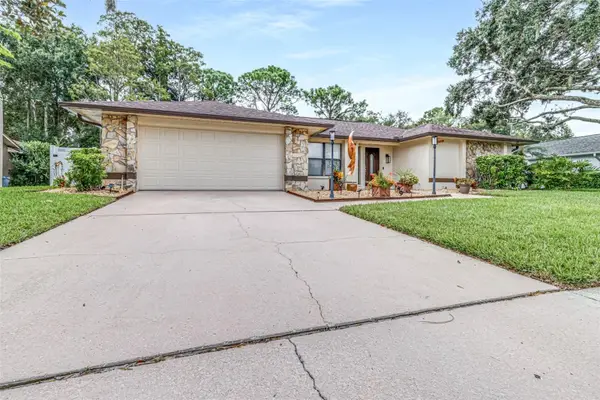 3404 Brian Road S, PALM HARBOR, FL 34685