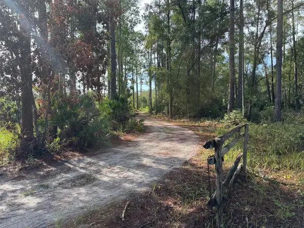 Wild Acres Trail, PAISLEY, FL 32767