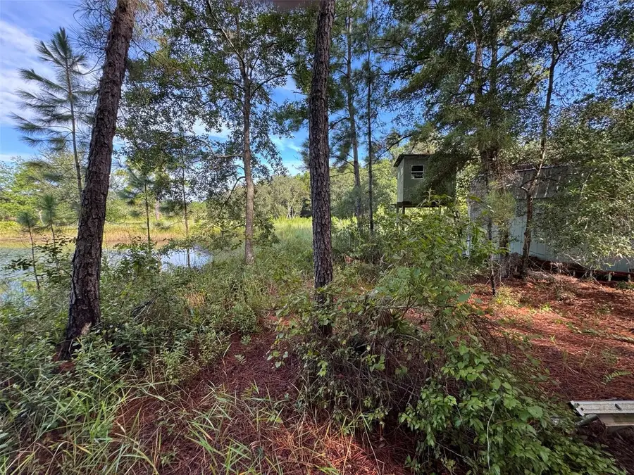 Wild Acres Trail, Paisley, FL 32767 - Image #3
