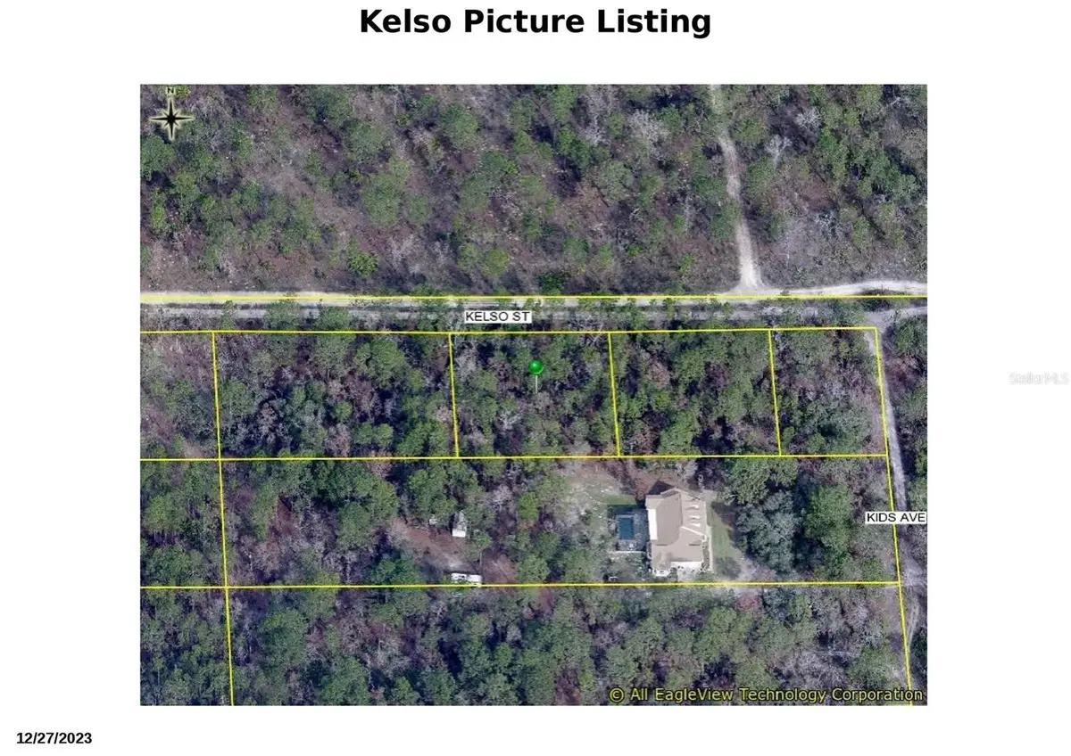 Kelso Street, Weeki Wachee, FL 34614 - Image #1