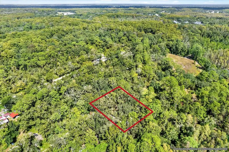 0 Weldon Street, New Port Richey, FL 34654 - Image #2