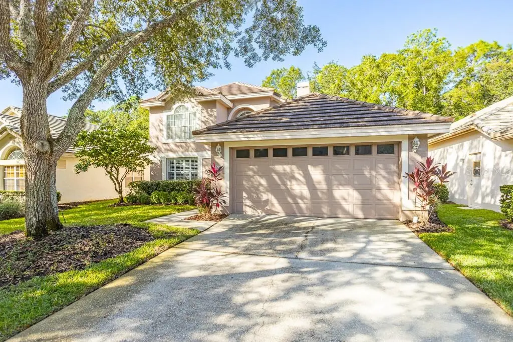 17708 Nathans Drive, Tampa, FL 33647 - Image #1