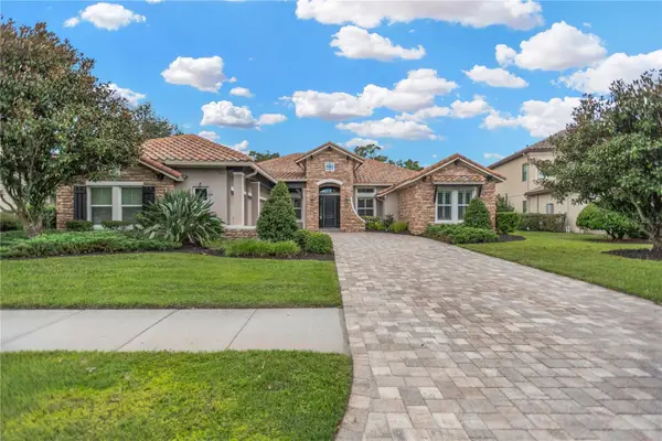 9124 Tillinghast Drive, TAMPA, FL 33626