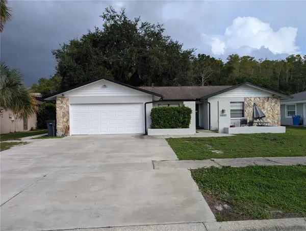 4208 Summerdale Drive, TAMPA, FL 33624