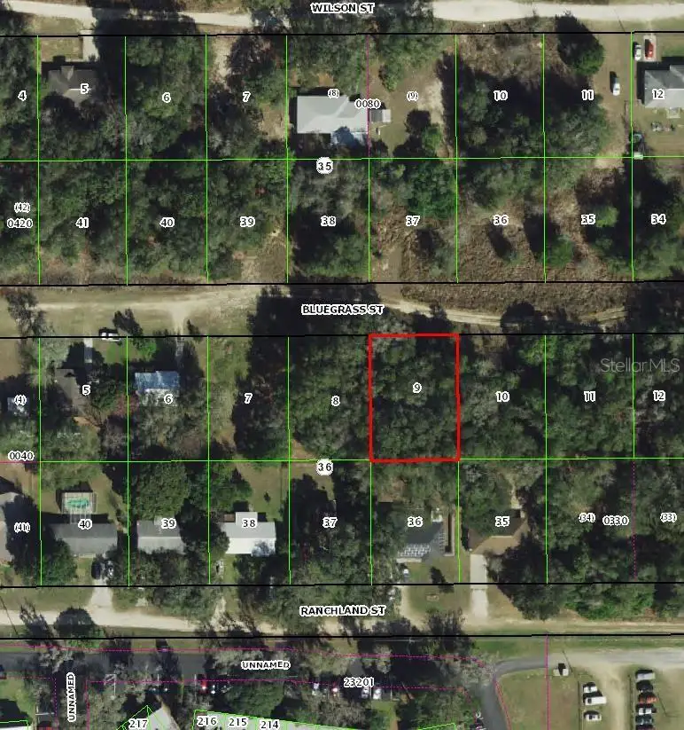 2407 Bluegrass Street, Inverness, FL 34453 - Image #2