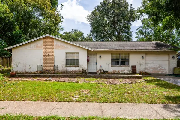 17645 Meadowbridge Drive, LUTZ, FL 33549