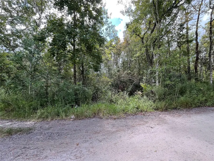 Fuller Ave #22, New Port Richey, FL 34654 - Image #3