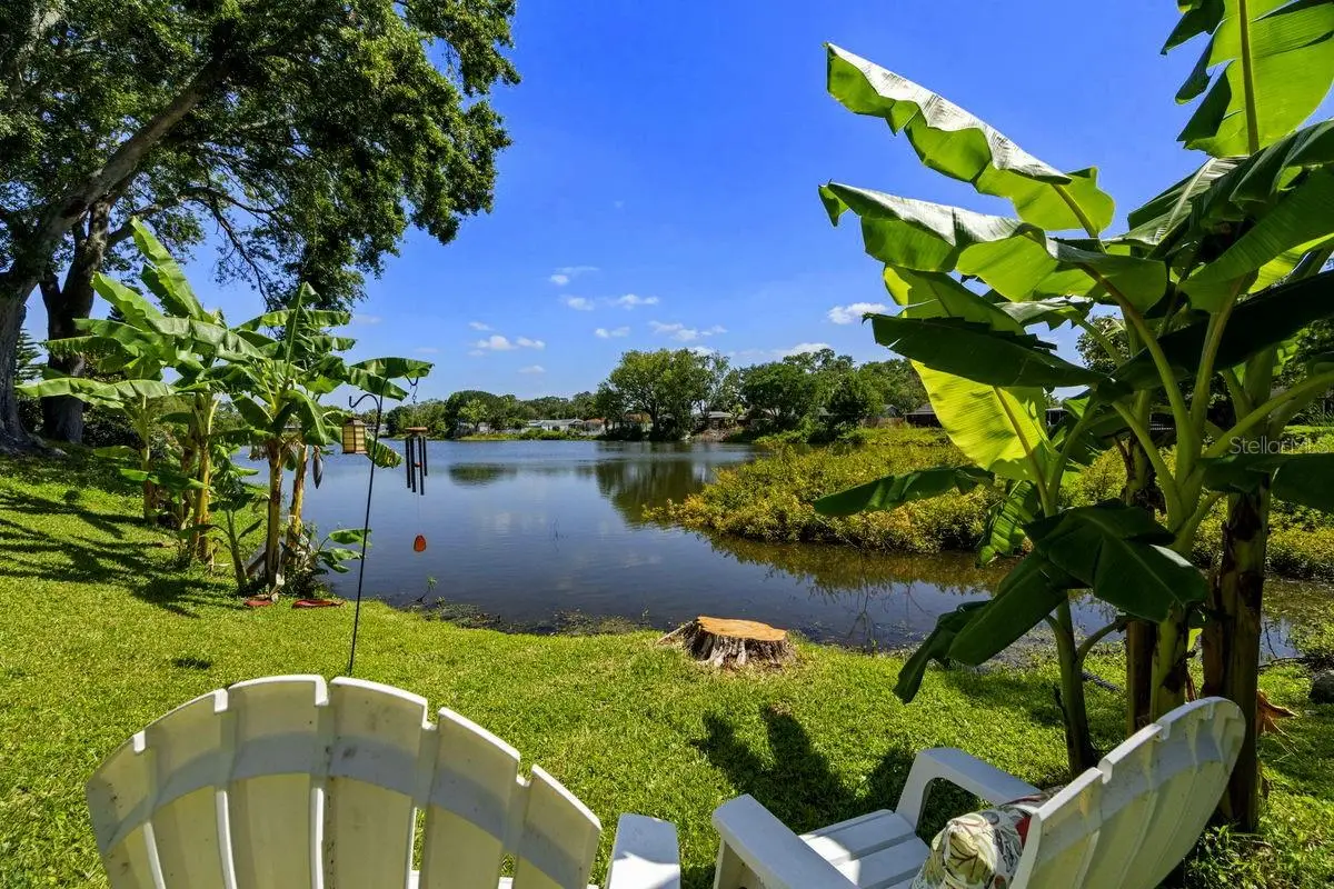 1393 Chesterfield Drive, Dunedin, FL 34698 - Image #1