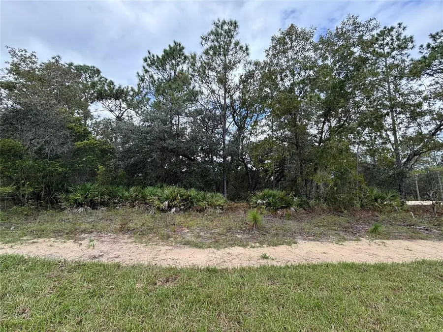 1871 W Hialeah Drive, Citrus Springs, FL 34434 - Image #2