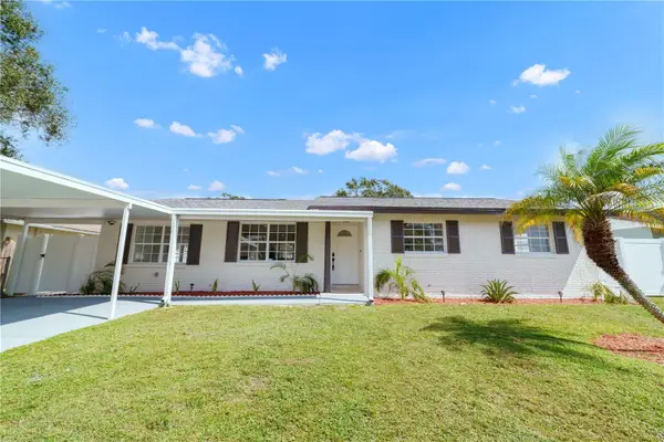 5805 Hammon Drive, TAMPA, FL 33619