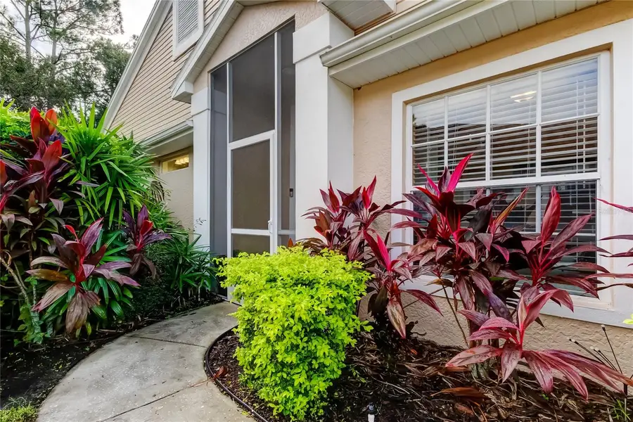 4409 Connery Court, Palm Harbor, FL 34685 - Image #3