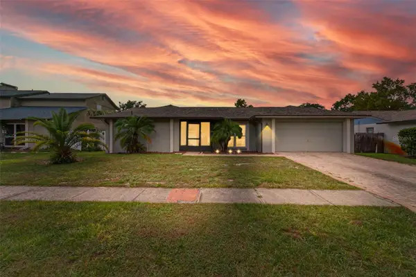 3903 Dunaire Drive, VALRICO, FL 33596