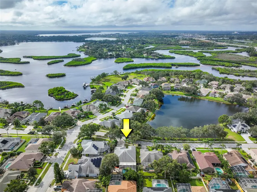 1187 Blackrush Drive, Tarpon Springs, FL 34689 - Image #2