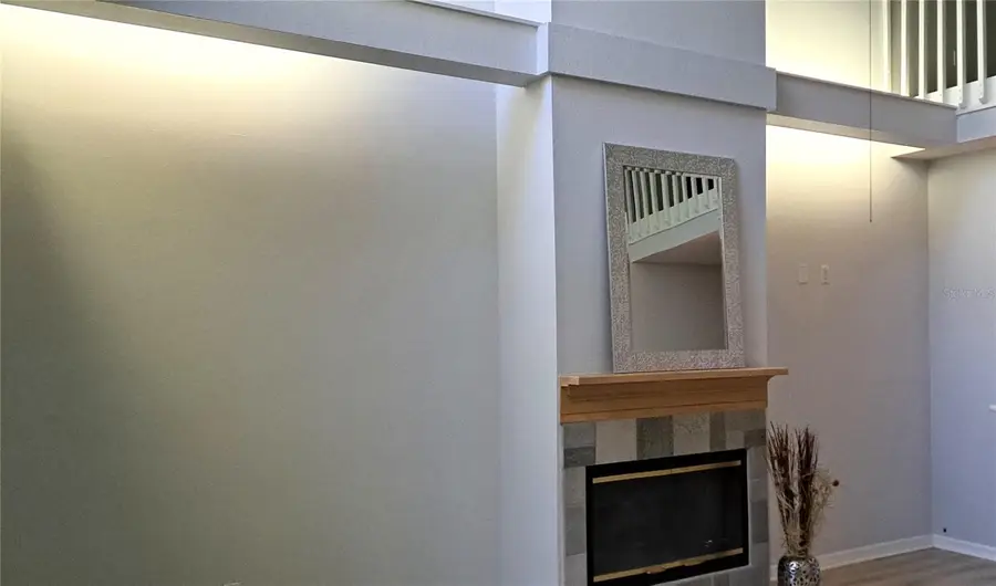 1223 Clays Trail, Oldsmar, FL 34677 - Image #3