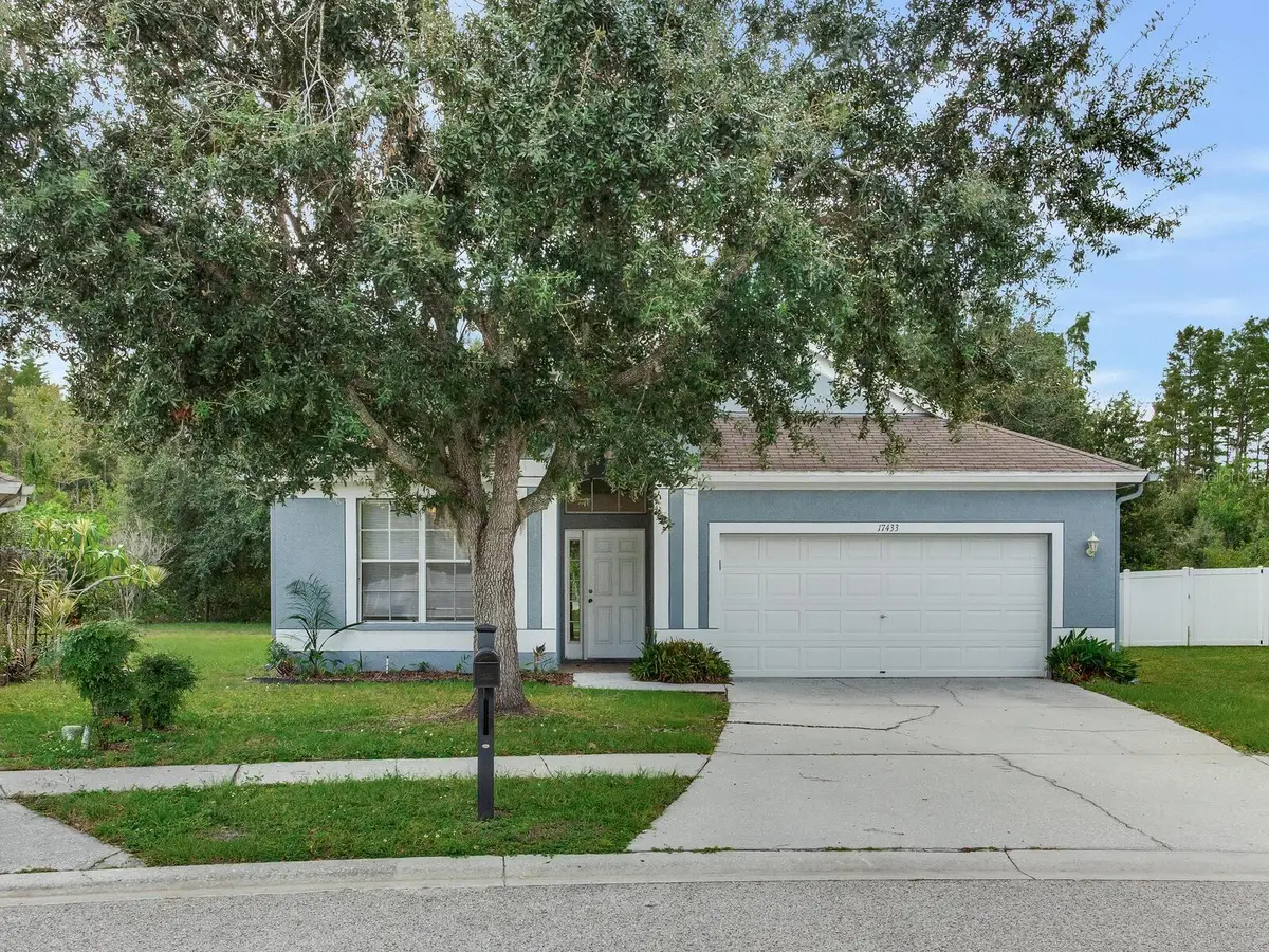 17433 Lawn Orchid Loop, Land O Lakes, FL 34638 - Image #1